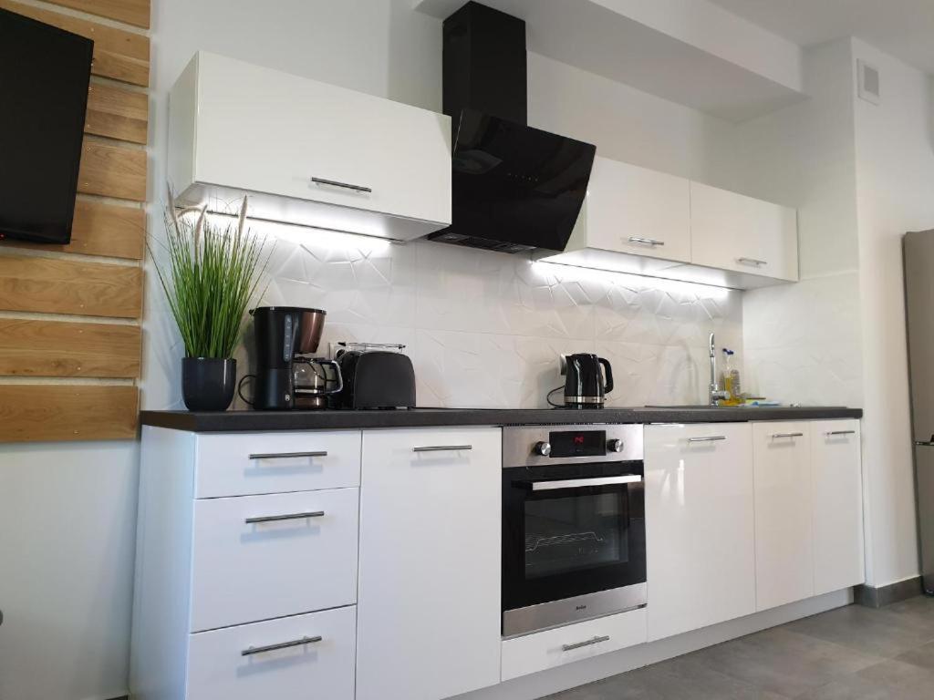 Villa Mila Apartamenty Karpacz Exterior foto